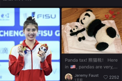 当国宝遇上非遗：爱上淘宝的熊猫公益，网友表示根本停不下来！