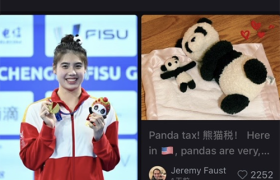 当国宝遇上非遗：爱上淘宝的熊猫公益，网友表示根本停不下来！